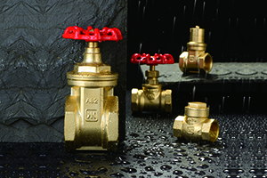Valve